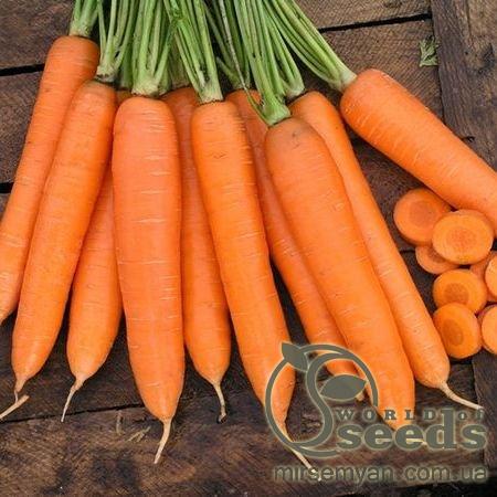 Морковь Сиркано F1 (1,8-2,0мм) 100 000 семян. (Nunhems) Морковь Сиркано F1 (1,8-2,0мм) 100 000 семян. (Nunhems)