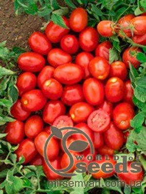 Помидоры Кендрас F1 25 000 семян. (Nunhems) Помидоры Кендрас F1 25 000 семян. (Nunhems)