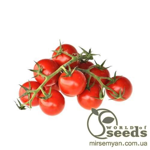 Помидоры Метро F1 1000 семян. (Nunhems) Помидоры Метро F1 1000 семян. (Nunhems)