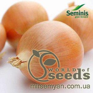 Лук Балстар F1 1кг. (Seminis) Лук Балстар F1 1кг. (Seminis)