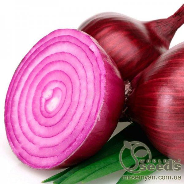 Лук СВ 4593 F1 (SV 4593 F1) F1 250 000 семян. (Seminis) Лук СВ 4593 F1 (SV 4593 F1) F1 250 000 семян. (Seminis)