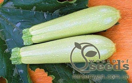 Кабачок Искандер F1 1000 семян. Семинис Кабачок Искандер F1 1000 семян. Семинис