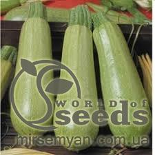 Кабачок «Сциллы» F1 1000 семян, Seminis Кабачок «Сциллы» F1 1000 семян, Seminis