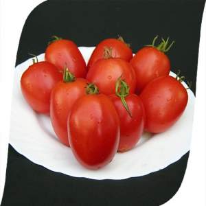 Помидоры Велоз F1 1000 семян. (Seminis)