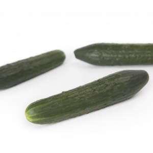 Огурец Святогор F1 100 семян. (Rijk Zwaan) Огурец Святогор F1 100 семян. (Rijk Zwaan)