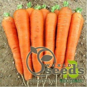 Морковь Каротан 250г Рийк Цваан