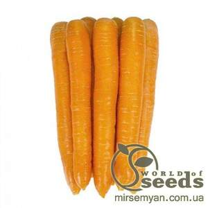 Морковь Джерада F1 (1,8-2,0мм) 100 000н Рийк Цваан