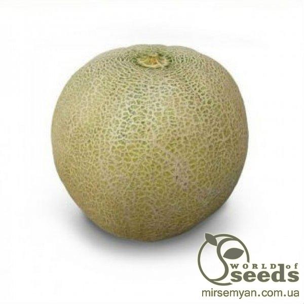 Дыня KS 55 F1, 1000 семян. (Kitano) Дыня KS 55 F1, 1000 семян. (Kitano)
