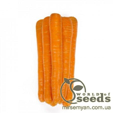 Морковь Морелия F1 (1,6-1,8мм) 100 000 семян. (Rijk Zwaan) Морковь Морелия F1 (1,6-1,8мм) 100 000 семян. (Rijk Zwaan)