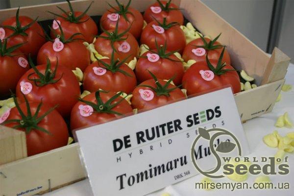 Томат Томимару Мучо F1 1000 семян. (De Ruiter Seeds) Томат Томимару Мучо F1 1000 семян. (De Ruiter Seeds)