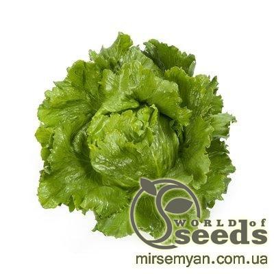 Салат Сантаринас 5000 семян. (Rijk Zwaan) Салат Сантаринас 5000 семян. (Rijk Zwaan)