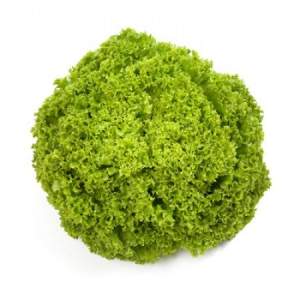 Салат Алеппо 5000 драж.сем. (Rijk Zwaan)