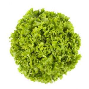 Салат Отели 1000 семян. (Rijk Zwaan) Салат Отели 1000 семян. (Rijk Zwaan)