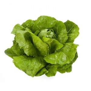 Салат Викторинус (драже) 1000 семян. (Rijk Zwaan)