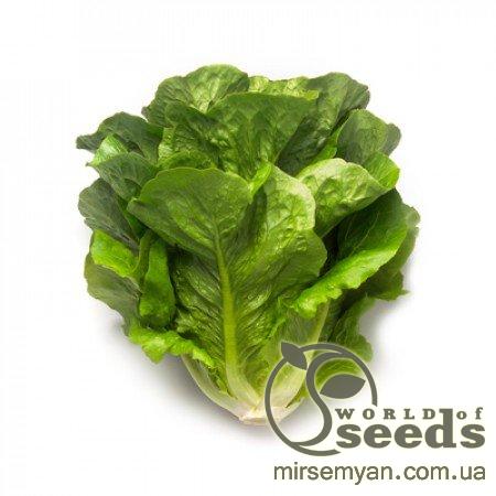 Салат Максимус 1000 семян. (Rijk Zwaan) Салат Максимус 1000 семян. (Rijk Zwaan)