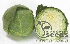Капуста Структа F1 2500 семян. (Takii Seeds) Капуста Структа F1 2500 семян. (Takii Seeds)