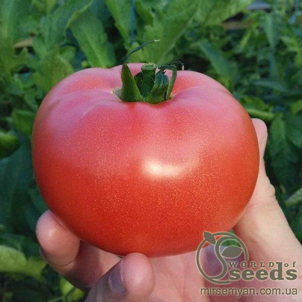 Помидоры розовые ТЕХ 2721 F1 250 семян. (Takii Seeds) Помидоры розовые ТЕХ 2721 F1 250 семян. (Takii Seeds)