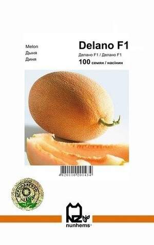 Дыня Делано F1 – 100 семян А (Nunhems)