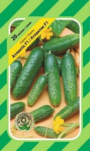 Огурец Атлантис F1 20 семян. А Огурец Атлантис F1 20 семян. А