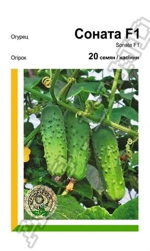 Огурец Соната F1 20 семян. А Огурец Соната F1 20 семян. А