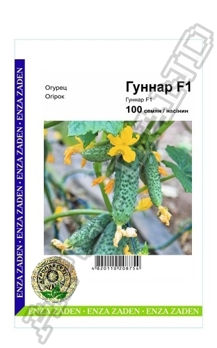 Огурец Гуннар F1 100 семян. А Огурец Гуннар F1 100 семян. А