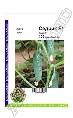 Огурец Седрик F1 100 семян. А Огурец Седрик F1 100 семян. А