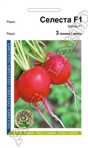 Редис Селеста 3г А Редис Селеста 3г А