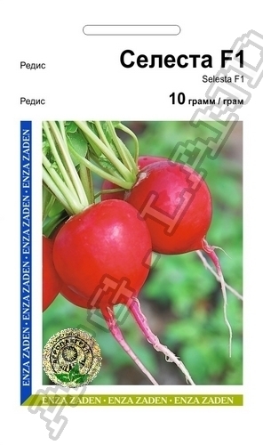 Редис Селеста 10г А Редис Селеста 10г А