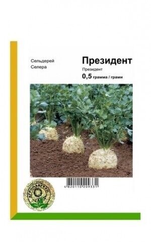 Сельдерей Президент 0,5 г А Сельдерей Президент 0,5 г А