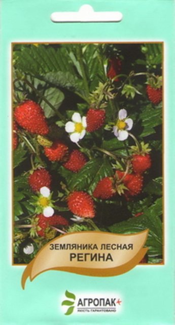 Земляника лесная Регина 0,1г А Земляника лесная Регина 0,1г А