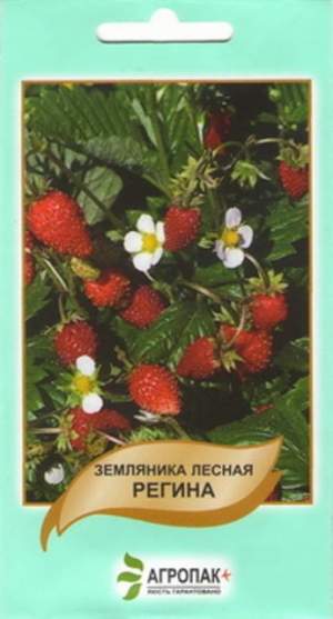 Земляника лесная Регина 0,1г А Земляника лесная Регина 0,1г А