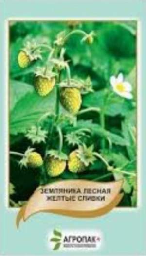 Земляника лесная Желтые сливки – 0,1 грамм А