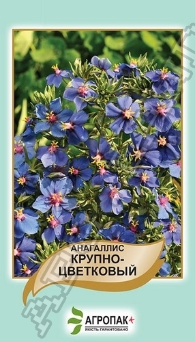 Анагаллис крупноцветковый 0,1г А Анагаллис крупноцветковый 0,1г А