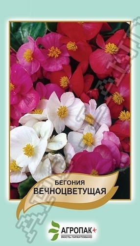 Бегония вечноцветущая, смесь 0,01г А