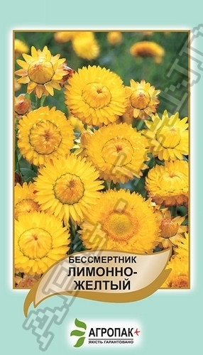 Бессмертник лимонно-желтый 0,2г А Бессмертник лимонно-желтый 0,2г А