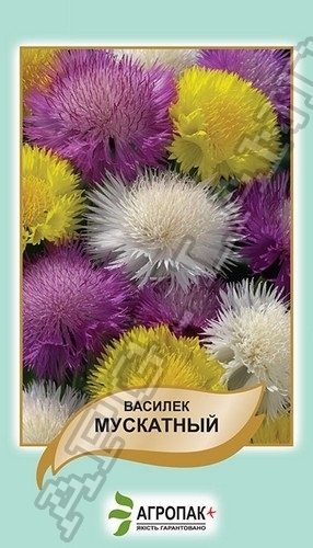Василек Мускатный 0,5г смесь А Василек Мускатный 0,5г смесь А
