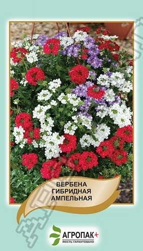 Вербена ампельная (смесь) 0,2г А Вербена ампельная (смесь) 0,2г А