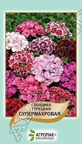 Гвоздика турецкая супермахровая 0,5г А Гвоздика турецкая супермахровая 0,5г А