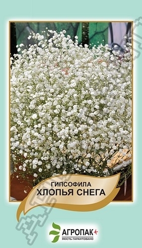 Гипсофила Лопатый снег 0,1г А Гипсофила Лопатый снег 0,1г А