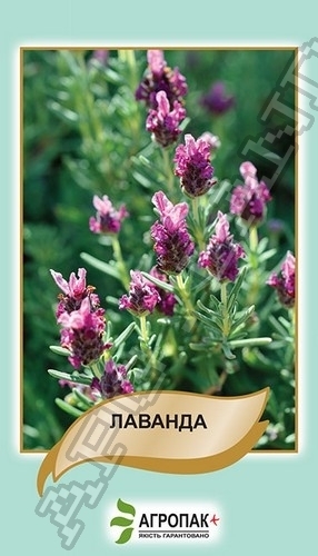 Лаванда 0,1г А
