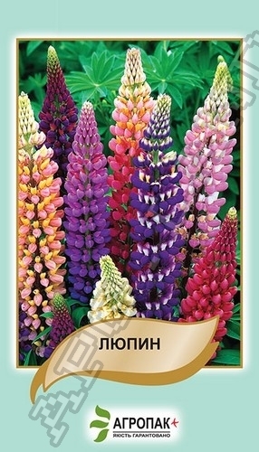 Люпин многолистный 1г смесь А Люпин многолистный 1г смесь А