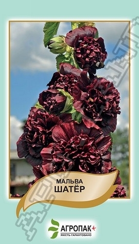 Мальва Шатер 0,3г бордовая А Мальва Шатер 0,3г бордовая А