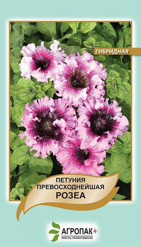 Петуния гибридная великолепная Розеа – 20 семян, А Петуния гибридная великолепная Розеа – 20 семян, А