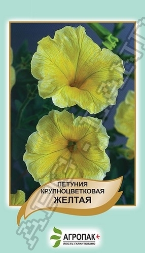 Петуния в цвету. желтая 50 cемян. А