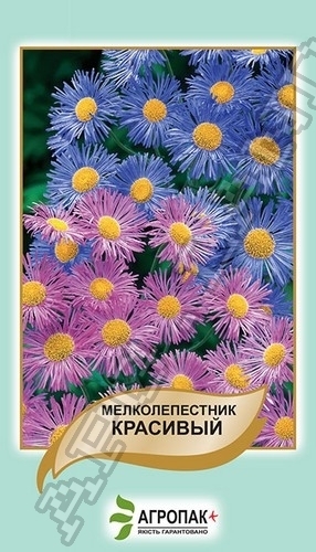 Эригерон Мелколепестник красивый, смесь - 0,1 гр. Эригерон Мелколепестник красивый, смесь - 0,1 гр.