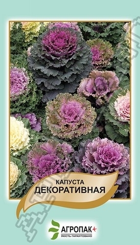 Капуста декоративная 50 семян. А Капуста декоративная 50 семян. А