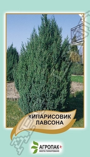 Кипарисовик Лавсона 0,1г А Кипарисовик Лавсона 0,1г А