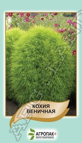 Кохия виническая 0,1г А Кохия виническая 0,1г А
