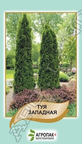 Туя западная 0,1г А Туя западная 0,1г А