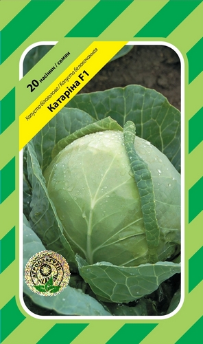 Капуста Катарина F1 20н (ранняя) А Капуста Катарина F1 20н (ранняя) А